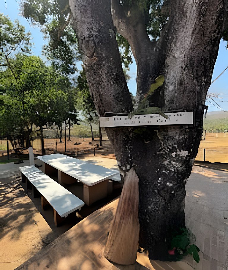 Casal + solteiro! Delfinópolis